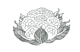 Bloemkool